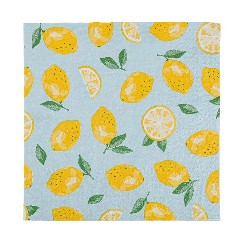 33x33 fulltrykking 2-lags papir servietter papir friutmønster SJ5101